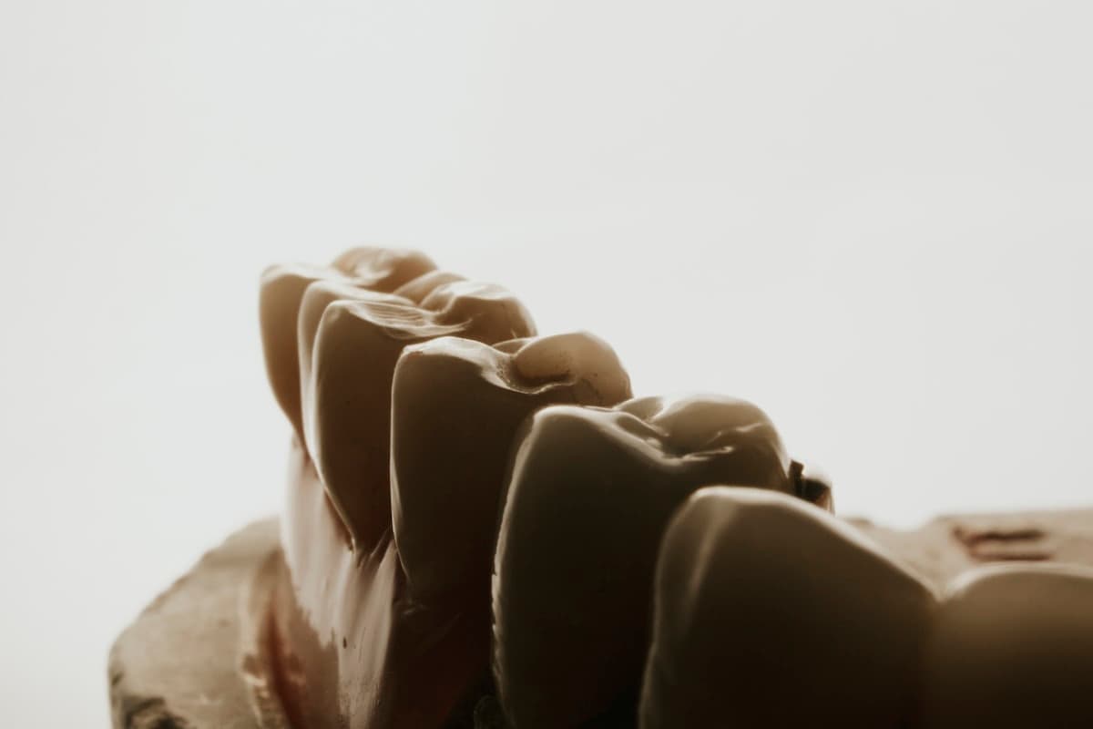 Gestante pode ir ao dentista? O que pode e o que não pode